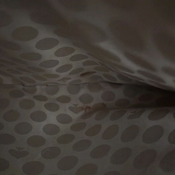 Kate Spade purse. This is a purse that can be rehabbed. - Picture 16 of 16